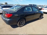 Miniaturka zdjęcia 4