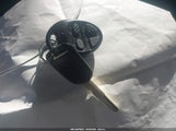 Miniaturka zdjęcia 11