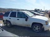 Chevrolet Trailblazer Ls 1GNDT13S472288350 снимка