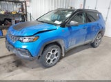 Jeep Compass Trailhawk 4X4 3C4NJDDB9NT123621 снимка