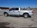Ford F-150 Fx4/King Ranch/Lariat/Platinum/Xl/Xlt 1FTPW14V09FB29438 photo
