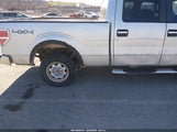 Ford F-150 Fx4/King Ranch/Lariat/Platinum/Xl/Xlt 1FTPW14V09FB29438 photo