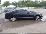 Ford Mustang V6 1ZVBP8AMXE5265567 снимка