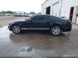 Ford Mustang V6 1ZVBP8AMXE5265567 снимка