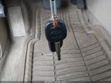 Miniaturka zdjęcia 11