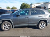 Toyota Rav4 Xle 2T3W1RFV3KW028226 снимка