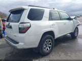 Toyota 4Runner Trd Off Road Premium JTEBU5JR5L5825946 fotografie