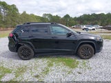 Jeep Cherokee Altitude Lux 4X4 1C4PJMMB8PD110151 fotografie