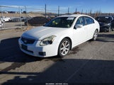 Nissan Maxima 3.5 Se 1N4BA41E47C843186 снимка