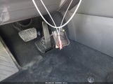 Miniaturka zdjęcia 11