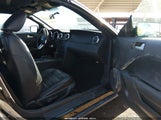 Ford Mustang V6 Deluxe/V6 Premium 1ZVHT84NX85173373 fotografie