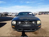 Ford Mustang V6 Deluxe/V6 Premium 1ZVHT84NX85173373 photo