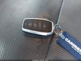 Miniaturka zdjęcia 11