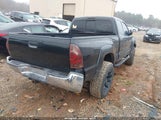 Toyota Tacoma Prerunner V6 5TETU62N87Z336454 photo