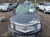 Cadillac Srx Luxury Collection 3GYFNEE31FS630035 снимка