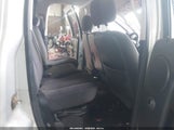 Miniaturka zdjęcia 8