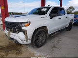 Chevrolet Silverado  2Wd Short Bed Custom 1GCPABEK1PZ199602 снимка