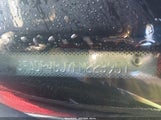 Ford Fiesta Se 3FADP4BJ7FM223951 снимка