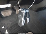 Miniaturka zdjęcia 11