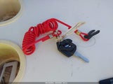Miniaturka zdjęcia 11
