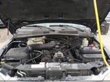 Miniaturka zdjęcia 10