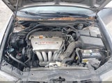 Acura Tsx JH4CL96868C006710 снимка