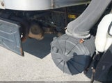 Isuzu Npr Dsl Reg At Eco-Max JALB4W174E7400426 снимка