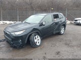 Toyota Rav4 Xle JTMP1RFV9KD514735 снимка
