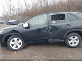 Toyota Rav4 Xle JTMP1RFV9KD514735 снимка