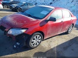 Toyota Corolla 2T1BU4EE2AC316483 fotografie
