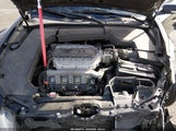 Acura Tl 3.5 19UUA86299A003381 снимка
