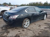Nissan Maxima 3.5 Sv 1N4AA5AP9DC831095 снимка