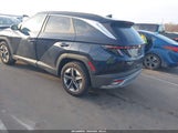 Miniaturka zdjęcia 3