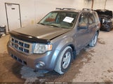 Ford Escape Xlt 1FMCU93148KA44704 снимка