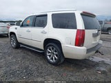 Cadillac Escalade Standard 1GYEC63857R406907 снимка