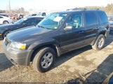 Ford Escape Xlt/Xlt Sport 1FMYU03196KC63043 fotografie