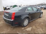 Cadillac Cts Standard 1G6DA5EYXB0144929 снимка