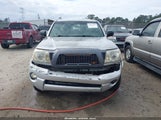 Toyota Tacoma Prerunner V6 3TMJU62N16M010448 photo
