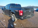 Ford F-150 Xl 1FTEW1EP1HFB63880 снимка