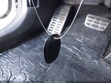 Miniaturka zdjęcia 11