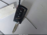 Miniaturka zdjęcia 11
