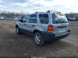 Ford Escape Xlt 1FMYU03102KB64783 снимка