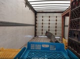 Chevrolet Express Cutaway Work Van 1HA3GTCG6HN004423 снимка