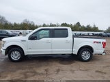 Ford F-150 Xlt 1FTEW1EP7GFB00815 снимка