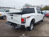 Ford F-150 Xlt 1FTEW1EP7GFB00815 снимка
