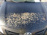 Toyota Camry 4T1BE46K19U809972 снимка