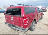 Ford F-150 Xlt 1FTFW1EF4DKE91324 снимка