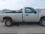 Chevrolet Silverado  Work Truck 1GCEC14X18Z263020 fotografie