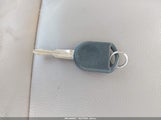 Miniaturka zdjęcia 11