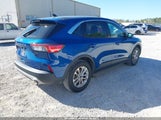 Miniaturka zdjęcia 4